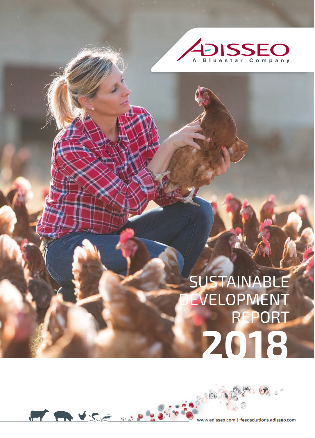 可持续发展报告 2018