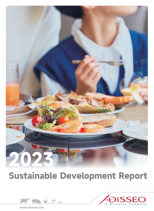 可持续发展报告 2023